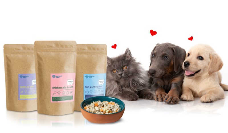 the best your pet can get | Pawfectly Made