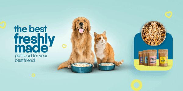 Best freshly made pet food  | Pawfectly Made