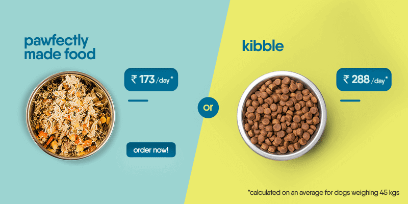 kibble banner | Pawfectly Made