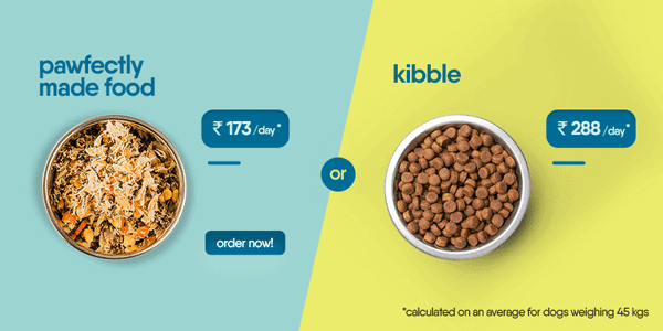 better than kibble | Pawfectly Made