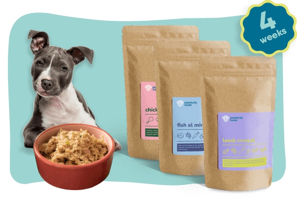 The Monthly BFF Pack | Pawfectly Made