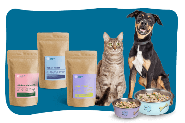 The Weekly Bud Pack | Pawfectly Made